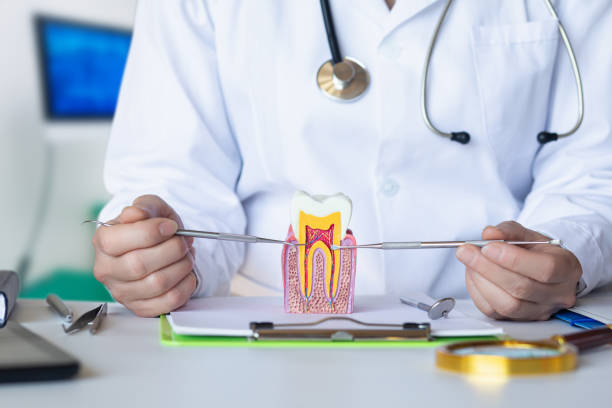 Best Emergency Dentist for Special Needs Patients in Merrill, IA